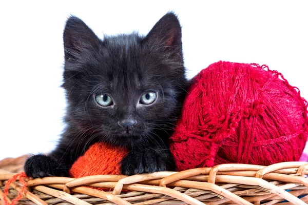 Black kitten playing with a red ball of yarn — Stock Photo, Image