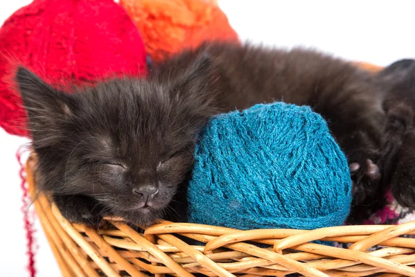黑猫睡在一个篮子和绞线 — 图库照片