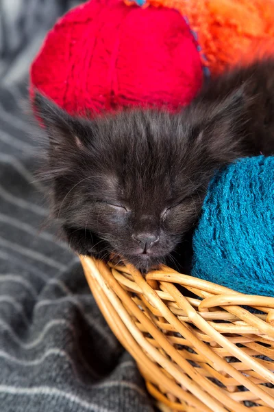 Czarny kociak śpi w kosz z motkach wątku — Zdjęcie stockowe