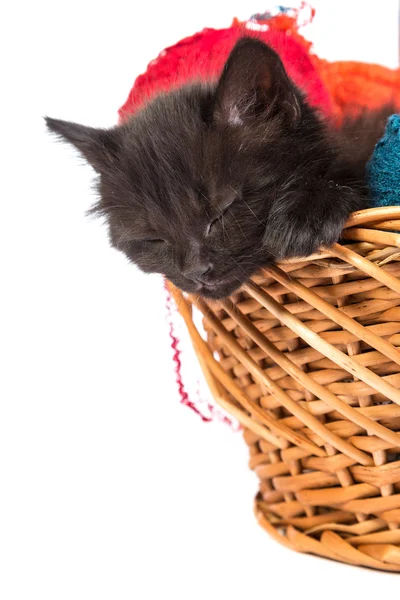 Black kitten sleeps in a basket with skeins of thread — Stock Photo, Image