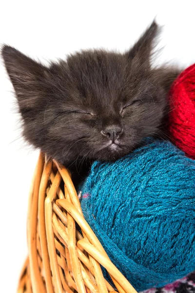 Black kitten sleeps in a basket with skeins of thread — Stock Photo, Image