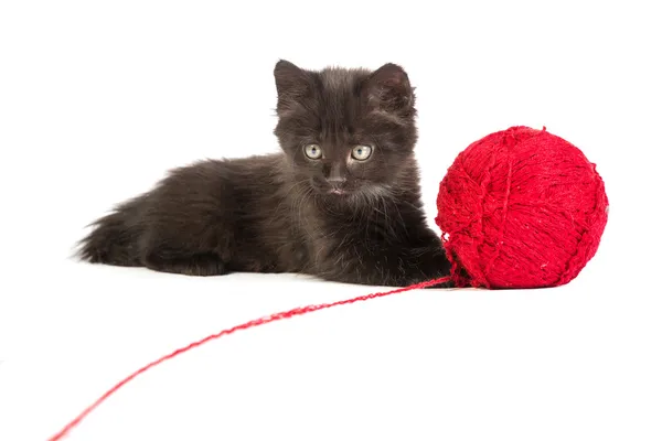 Black kitten playing with a red ball of yarn — Stock Photo, Image