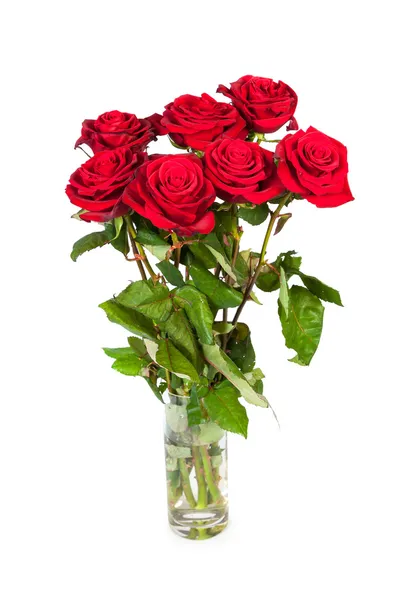 Rosas rojas frescas — Foto de Stock