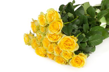 taze Sarı gül grubu