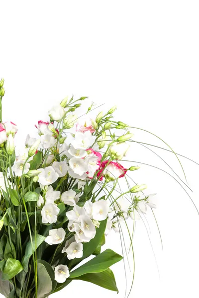Wiosna kwiatów tła na białym tle — Zdjęcie stockowe