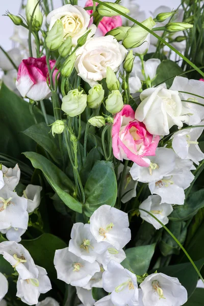 白い背景の上の春の花の背景 — ストック写真