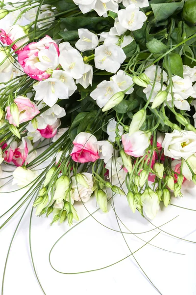 Flores de primavera fondo sobre fondo blanco — Foto de Stock