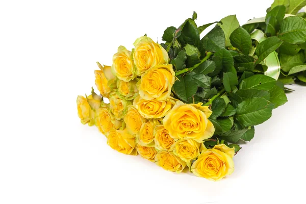 Gruppe frischer gelber Rosen — Stockfoto