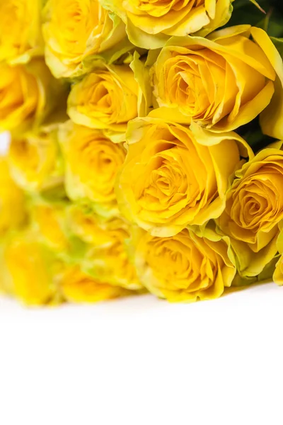 Grupa róż świeży żółty — Zdjęcie stockowe