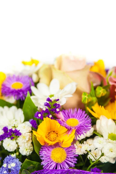 Spring flowers background on white background — Stock Photo, Image