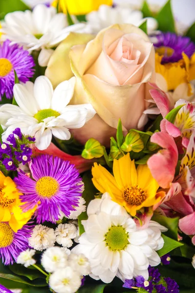 Flores de primavera fondo sobre fondo blanco — Foto de Stock