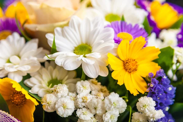 Flores de primavera fondo sobre fondo blanco — Foto de Stock