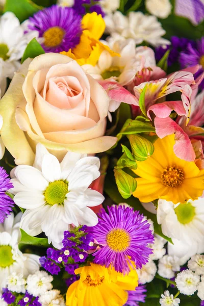 Våren blommor bakgrund på vit bakgrund — Stockfoto