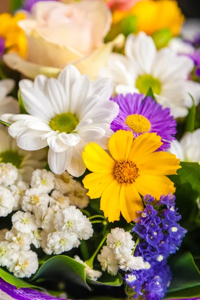 Весенние цветы фон на белом фоне — стоковое фото