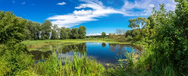 Panorama jezera letní ráno — Stock fotografie