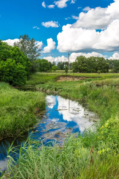 Paesaggio estivo con fiume — Foto Stock