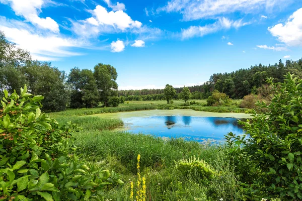 Panorama jezera letní ráno — Stock fotografie