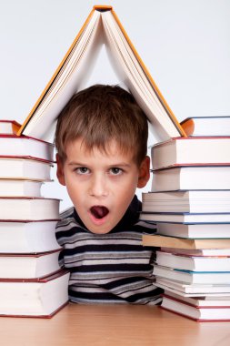 öğrenci ve bir yığın kitap