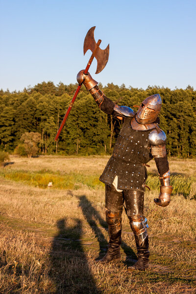Medieval knight
