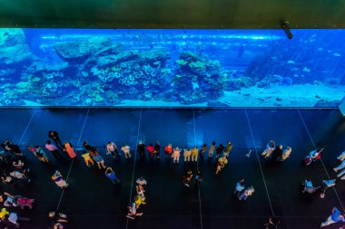 dubai Mall dünyanın en büyük Akvaryumu