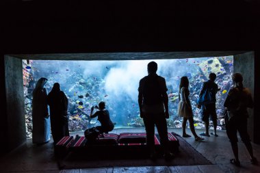 hotel atlantis Dubai palmiye Adaları dev akvaryum