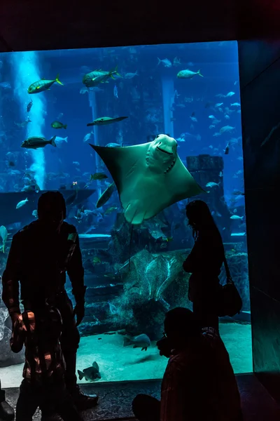 Enorme aquário em um hotel Atlantis em Dubai nas ilhas Palm — Fotografia de Stock