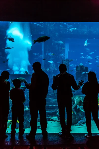 Enorme acuario en un hotel Atlantis en Dubai en las islas Palm — Foto de Stock