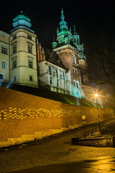 Polen, Krakau. Wawel-Burg und Glyzinien — Stockfoto