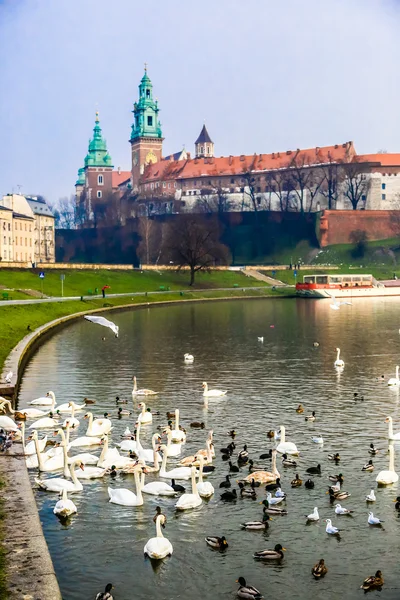 Wawel kastély és wistula. Krakow, Lengyelország. — Stock Fotó