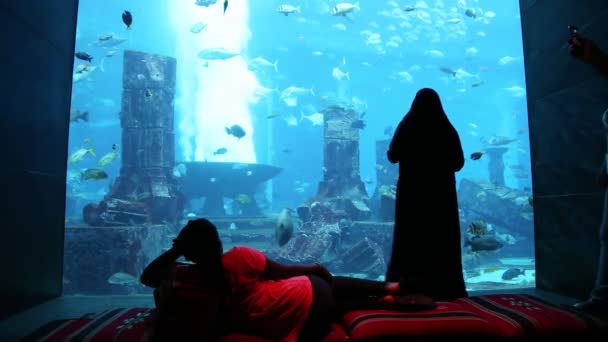 Grande acquario nell'Hotel Atlantis — Video Stock