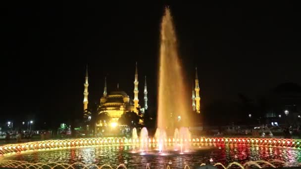 Blauwe Moskee in Istanbul — Stockvideo