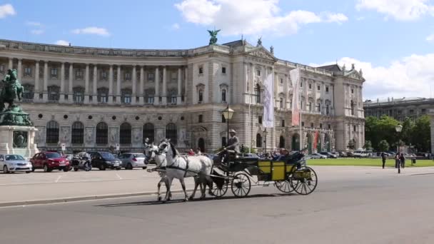 A hofburg-palota, a michaelerplatz tértől kb. — Stock videók