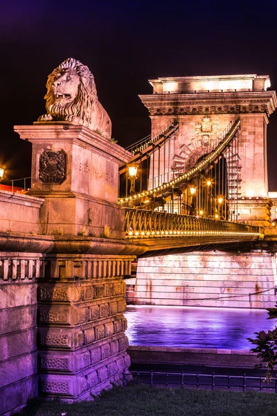 Ciudad de Budapest en Hungría noche paisaje urbano — Foto de Stock