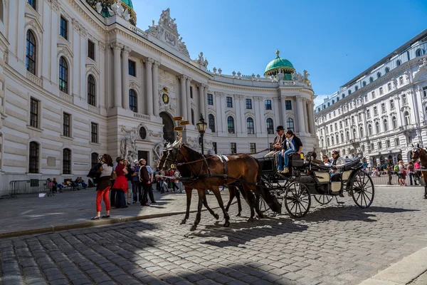 Hestetrukne Carriage i Wien på den berømte Stephansdom Cathedr - Stock-foto