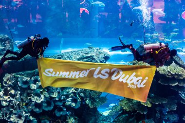 dubai Mall dünyanın en büyük Akvaryumu