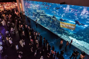 dubai Mall dünyanın en büyük Akvaryumu