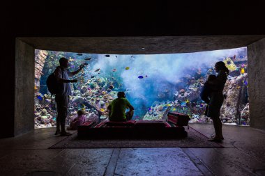 hotel atlantis Dubai palmiye Adaları dev akvaryum