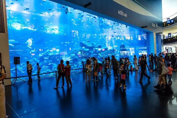 Största akvarium i världen i dubai mall — Stockfoto