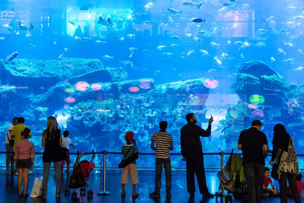 Largest aquarium of the world in Dubai Mall — Stock Photo, Image