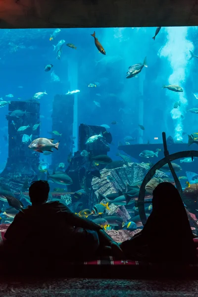 Enorme acuario en un hotel Atlantis en Dubai en las islas Palm —  Fotos de Stock