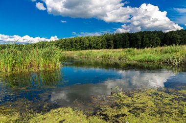 Nehirli yaz manzarası