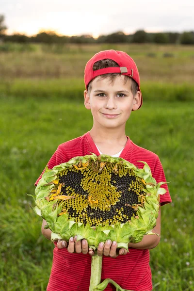 Young happy boy hold sunflower in a garden — Stock Photo, Image