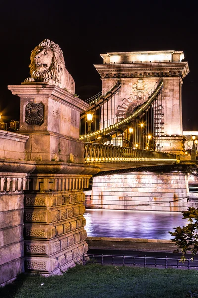 Noční pohled na slavné Řetězový most — Stock fotografie