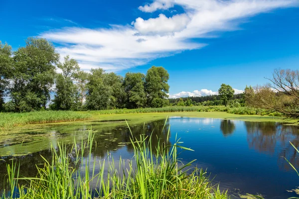 Panorama van de zomer 's morgens lake — Stockfoto