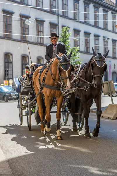 Häst och vagn i Wien — Stockfoto