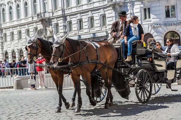 Carrozza trainata da cavalli a Vienna — Foto Stock