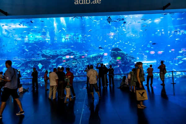 El acuario más grande de Dubai Mall — Foto de Stock