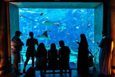 DUBAI, BAE - 26 Haziran 2018: Kayıp odalar - Dubai, Birleşik Arap Emirlikleri, Atlantis Oteli 'ndeki büyük akvaryum