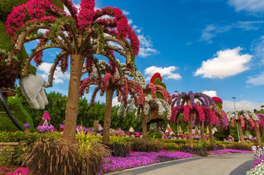 DUBAI, BİRLİK ARAB EMIRATES - 29 Mart 2020: Güneşli bir günde Dubai Mucize Bahçesi, Birleşik Arap Emirlikleri