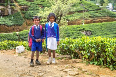 NUWARA ELIYA, SRI LANKA - 15 Şubat 2020: Nuwara Eliya, Sri Lanka 'daki çay çiftliklerindeki kız ve erkek öğrenciler